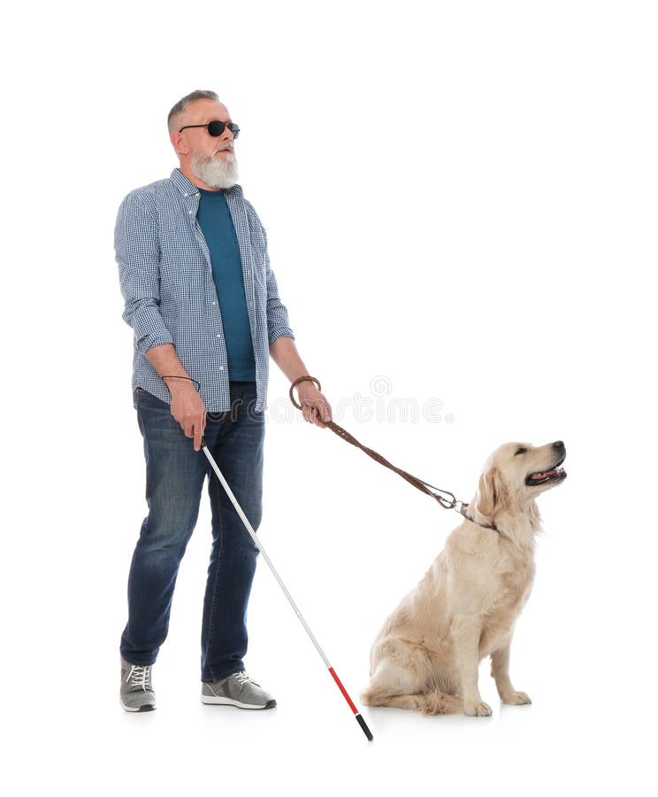 Blind person with long cane and guide dog on white background. Blind person with long cane and guide dog on white background