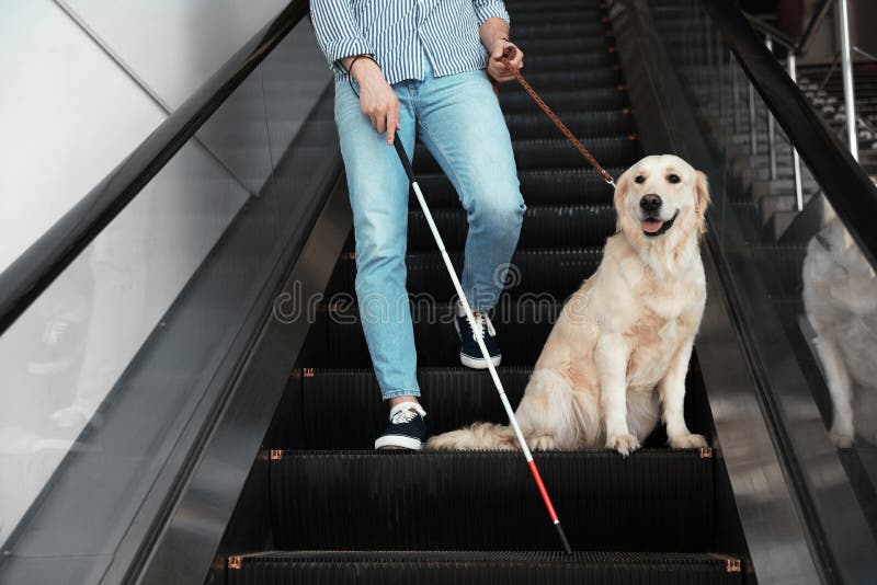 Blind person with long cane and guide dog on escalator indoors. Blind person with long cane and guide dog on escalator indoors