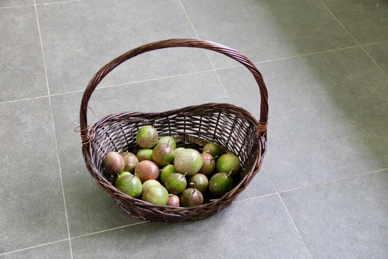 Смешивание зрелого и незрелого Passionfruits в корзине Брайна стоковое фото Смешивание зрелого и незрелого Passionfruits в корзине Брайна стоковое фото