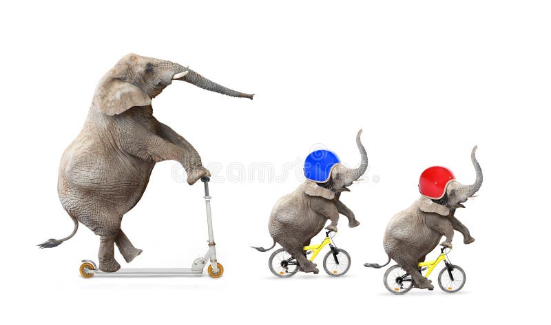 Funny elephant's family bicycling. Road safety concept. Funny elephant's family bicycling. Road safety concept.