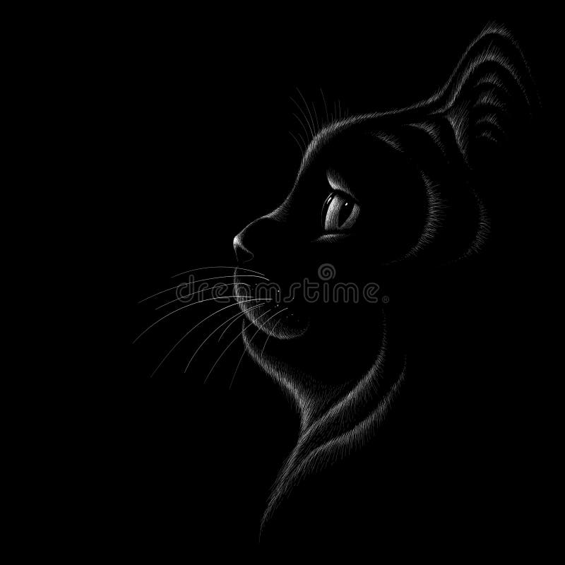 Смотреть черного кота иллюстрация штока