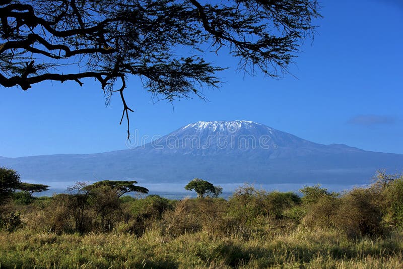 Снег na górze Mount Kilimanjaro в Amboseli стоковые изображения Снег na górze Mount Kilimanjaro в Amboseli стоковые изображения
