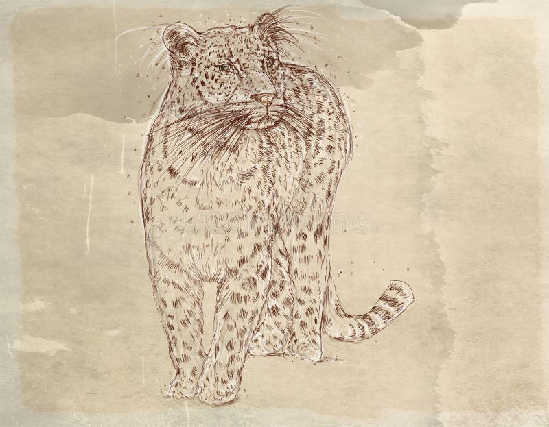 Снегоход, гепард, серия пантеры реалистических животных для открыток с винтажной предпосылкой