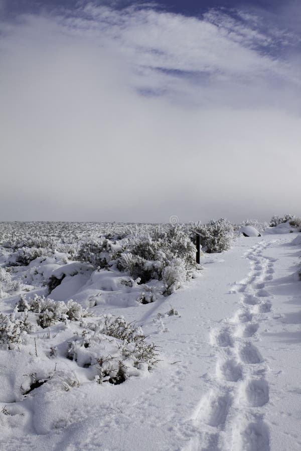 A snowy landscape with a path of footprints and cloud covered blue sky. A snowy landscape with a path of footprints and cloud covered blue sky