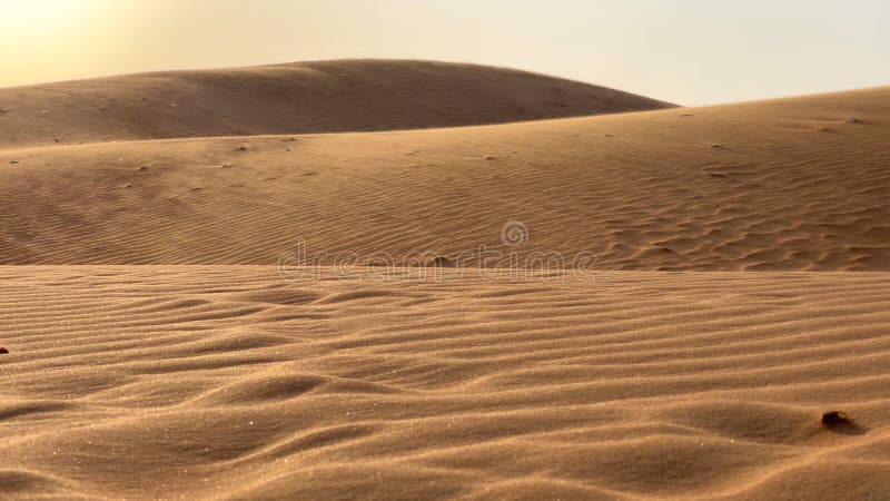 снимок песчаных дюн в пустыне. ветер движется по песку