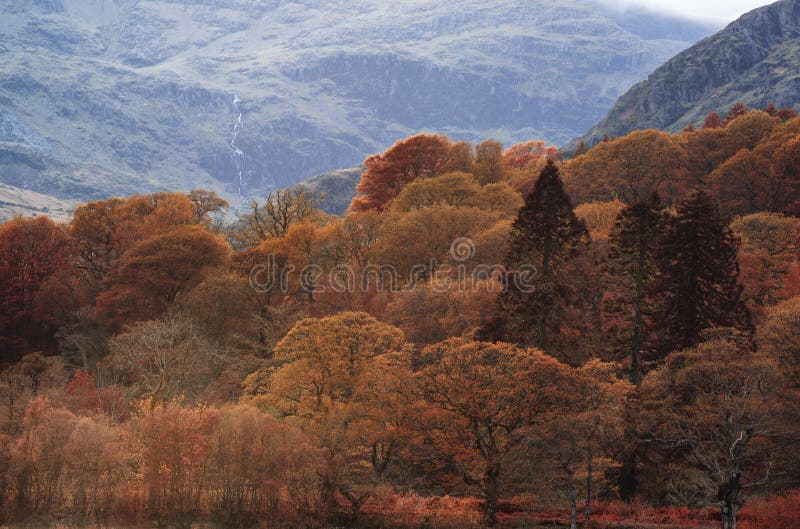 Сногсшибательный ландшафт цвета падения осени района озера в Cumbria стоковые фотографии rf Сногсшибательный ландшафт цвета падения осени района озера в Cumbria стоковые фотографии rf