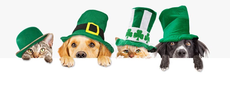 Row of cute dogs and cats wearing green St Patrick`s Day hats while peeking over a blank white web banner or social media cover. Row of cute dogs and cats wearing green St Patrick`s Day hats while peeking over a blank white web banner or social media cover