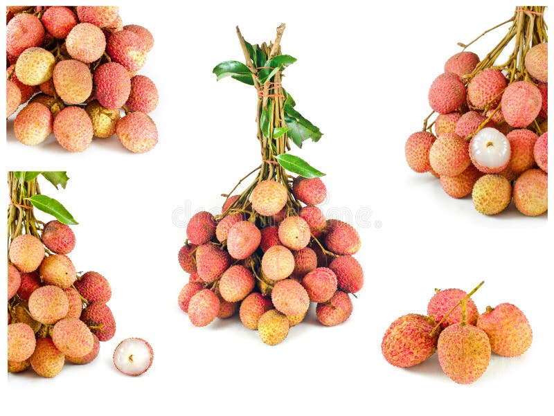 Собрание свежих lychees изолированных на белизне стоковые фото