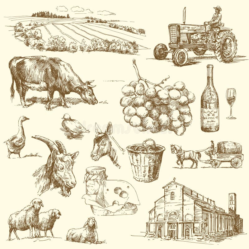 Original hand drawn farm collection. Original hand drawn farm collection