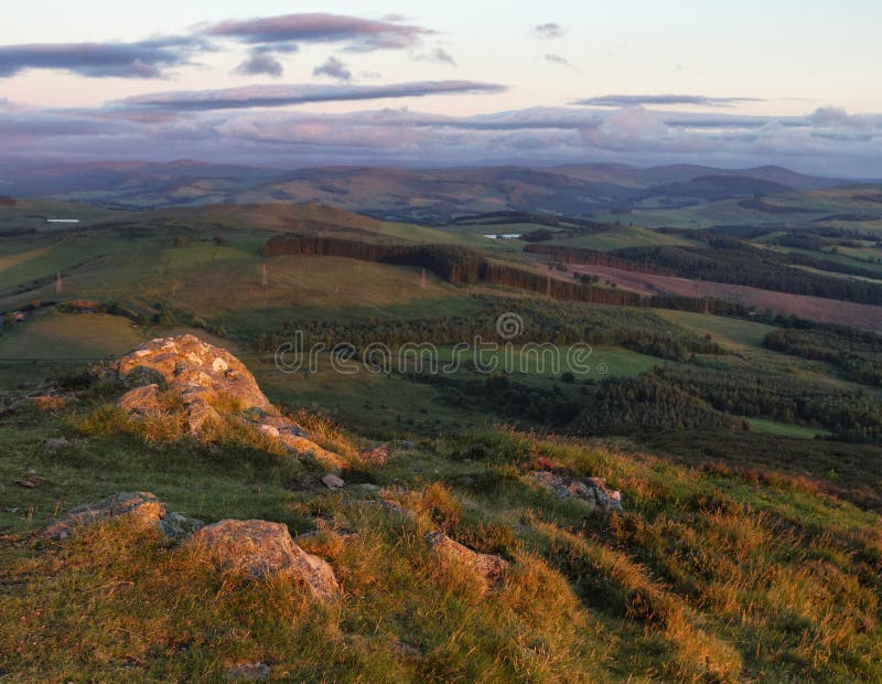 The first light of dawn hits the hillside looking out over a vast expanse of green in the Scottish borders. The first light of dawn hits the hillside looking out over a vast expanse of green in the Scottish borders