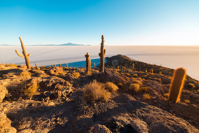 Соль Uyuni плоское на восходе солнца, назначении перемещения в Боливии и Южной Америке Саммит Isla Incahuasi с накаляя кактусом стоковое фото Соль Uyuni плоское на восходе солнца, назначении перемещения в Боливии и Южной Америке Саммит Isla Incahuasi с накаляя кактусом стоковое фото
