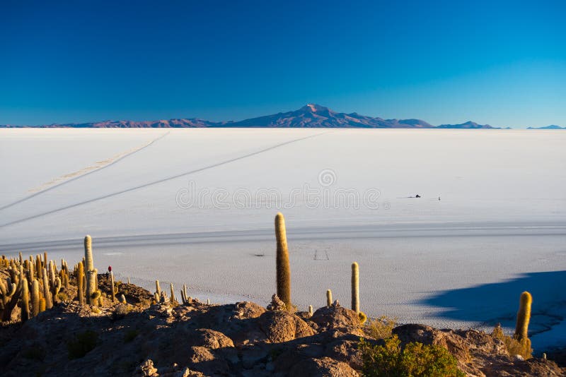 Соль Uyuni плоское на восходе солнца, назначении перемещения в Боливии и Южной Америке Саммит Isla Incahuasi с накаляя кактусом стоковое фото Соль Uyuni плоское на восходе солнца, назначении перемещения в Боливии и Южной Америке Саммит Isla Incahuasi с накаляя кактусом стоковое фото