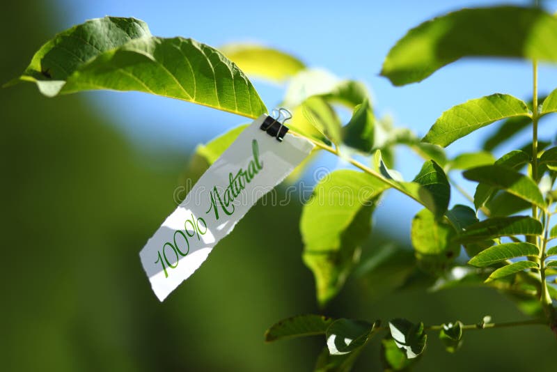 One hundred percent natural advertisement on piece of paper cardboard on tree branch in nature. One hundred percent natural advertisement on piece of paper cardboard on tree branch in nature