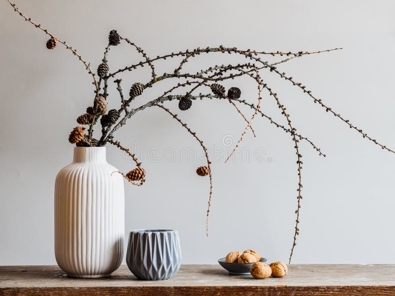 Autumn composition with larch tree branches with cones on a gray background. Fall mood still life in Nordic minimal style. Autumn composition with larch tree branches with cones on a gray background. Fall mood still life in Nordic minimal style