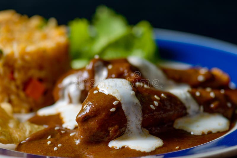Соус Poblano моли с цыпленком и мексиканским рисом стоковые изображения Соус Poblano моли с цыпленком и мексиканским рисом стоковые изображения