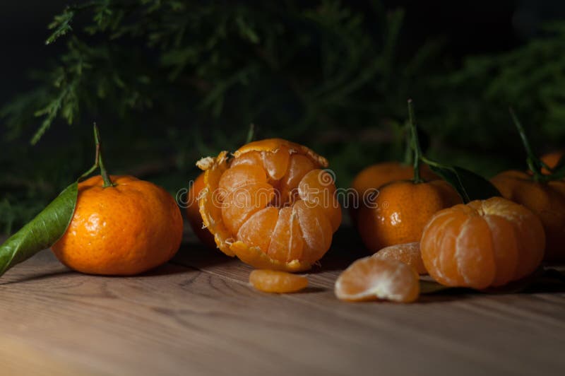 Сочные tangerines 1 жизнь все еще стоковые фото