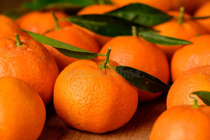 fresh juicy tangerines on a wooden table 1. fresh juicy tangerines on a wooden table 1