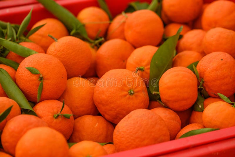 juicy fresh tangerines in boxes for sale in Cyprus in winter 2. juicy fresh tangerines in boxes for sale in Cyprus in winter 2