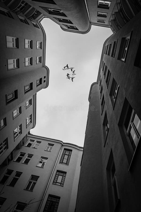 Старая историческая Варшава в арендуемом доме Польши от дома стоковые фотографии rf