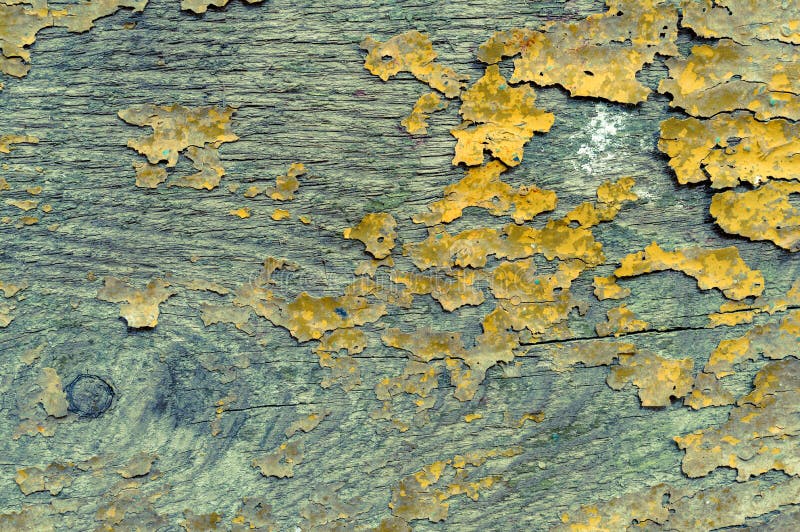 Древесина год сбора винограда Grungy старая. стоковая фотография Древесина год сбора винограда Grungy старая. стоковая фотография