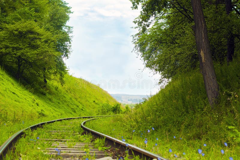 Old abandoned railroad among forested hills. Railway on country road. Rails among trees. Old abandoned railroad among forested hills. Railway on country road. Rails among trees