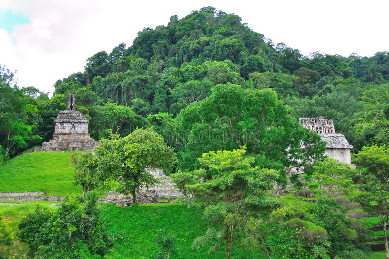 стародедовские руины palenque Мексики maya стоковое фото стародедовские руины palenque Мексики maya стоковое фото