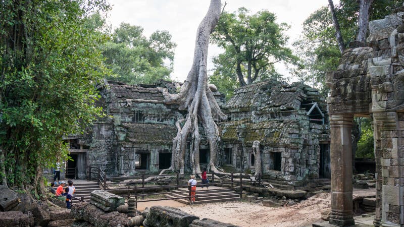 Старое дерево обнимая здание от виска Prohm животиков на парке Angkor археологическом Sie стоковое изображение rf Старое дерево обнимая здание от виска Prohm животиков на парке Angkor археологическом Sie стоковое изображение rf