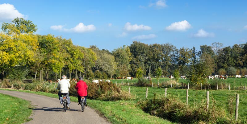 Senior men and women exercising with bicycles on a countryroad. Senior men and women exercising with bicycles on a countryroad