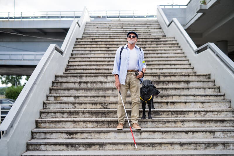 A senior blind man with guide dog walking down the stairs in city. A senior blind man with guide dog walking down the stairs in city.