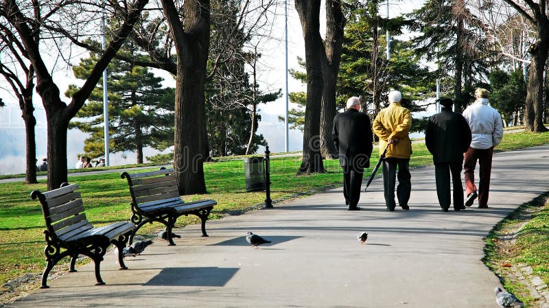Old people walking in park and talk. Old people walking in park and talk