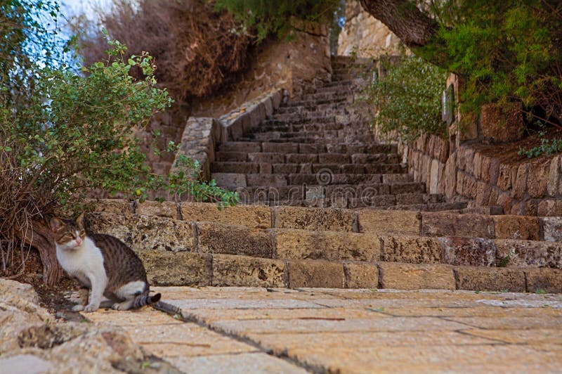 старый город jaffa tel aviv israel стоковое фото