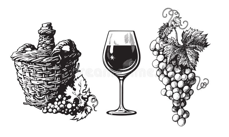 Old demijohn, glass of wine, bunch of grapes in vintage engraving style. Set of wine related hand drawn elements. Vector illustration Isolated on white background. Old demijohn, glass of wine, bunch of grapes in vintage engraving style. Set of wine related hand drawn elements. Vector illustration Isolated on white background