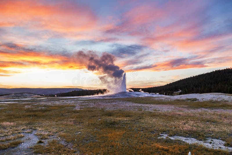 Beautiful sunset in the background of erupting old and faithful geyser. Old Faithful is a cone geyser located in Yellowstone National Park in Wyoming, United States. Beautiful sunset in the background of erupting old and faithful geyser. Old Faithful is a cone geyser located in Yellowstone National Park in Wyoming, United States