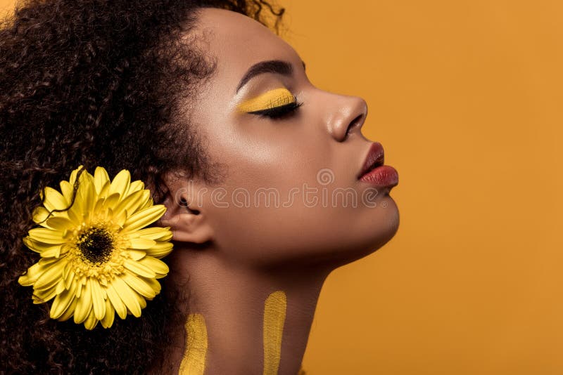 Стильная Афро-американская женщина с художническим составом и gerbera в мечтать волос стоковое изображение