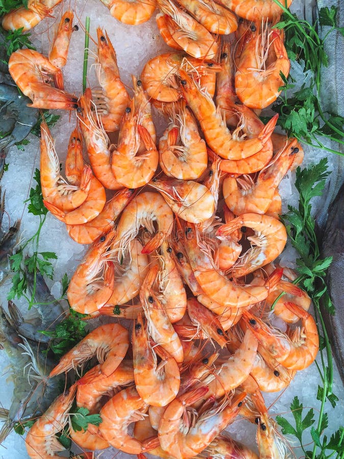 Стойл морепродуктов на провансальском рынке отличая сырцовыми креветками a тигра иллюстрация штока Стойл морепродуктов на провансальском рынке отличая сырцовыми креветками a тигра иллюстрация штока