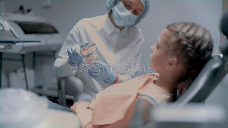 стоматолог показывает маленькую модель челюсти в офисе стоматологов. дочерний элемент согласен установить скобки сток-видео