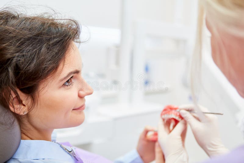 Dentist shows patient a denture model with braces to correct a malocclusion. Dentist shows patient a denture model with braces to correct a malocclusion