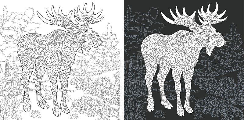 Coloring Page. Coloring Book. Colouring picture with Moose drawn in zentangle style. Antistress freehand sketch drawing. Vector illustration. Coloring Page. Coloring Book. Colouring picture with Moose drawn in zentangle style. Antistress freehand sketch drawing. Vector illustration.