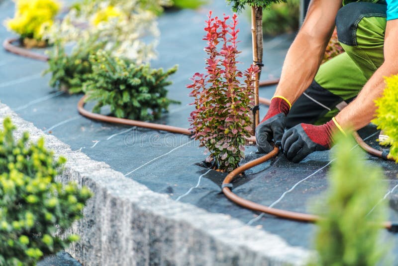 Residential Garden Irrigation System Building by Professional Landscaping and Gardening Technician. Residential Garden Irrigation System Building by Professional Landscaping and Gardening Technician