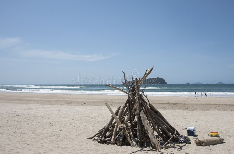 Структура Driftwood на пляже. стоковые фото Структура Driftwood на пляже. стоковые фото