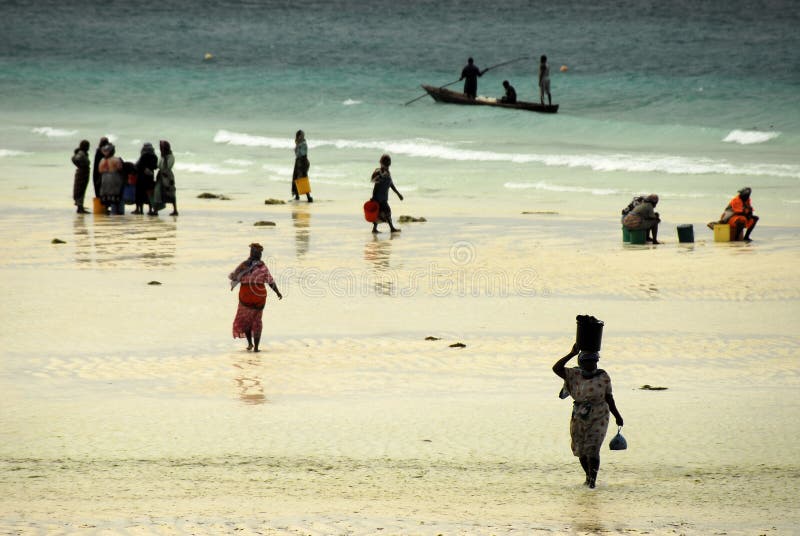 суахили zanzibar повелительниц острова стоковое изображение rf суахили zanzibar повелительниц острова стоковое изображение rf