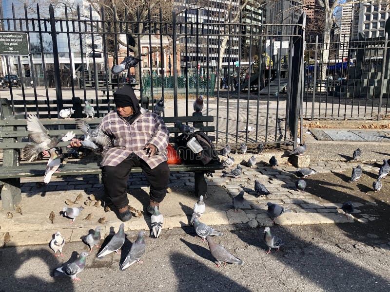 New York - January 2, 2020: Manhattan street scene: A homeless man is feeding birds and pigeons in New York. New York - January 2, 2020: Manhattan street scene: A homeless man is feeding birds and pigeons in New York