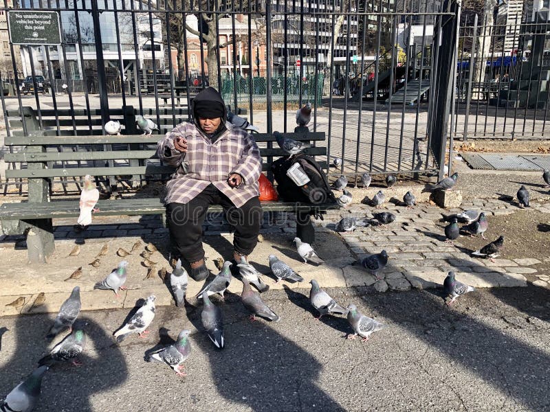 New York - January 2, 2020: Manhattan street scene: A homeless man is feeding birds and pigeons in New York. New York - January 2, 2020: Manhattan street scene: A homeless man is feeding birds and pigeons in New York