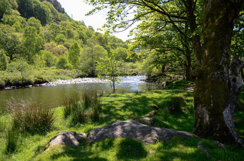 A sunlit view along a river in Snowdonia, with calm waters running between rocks and trees along the banks of the river. The sunlight casts brights spots and gentle shadows across water and grass. The forested slope on the far side of the river catches the sunlight. A sunlit view along a river in Snowdonia, with calm waters running between rocks and trees along the banks of the river. The sunlight casts brights spots and gentle shadows across water and grass. The forested slope on the far side of the river catches the sunlight.