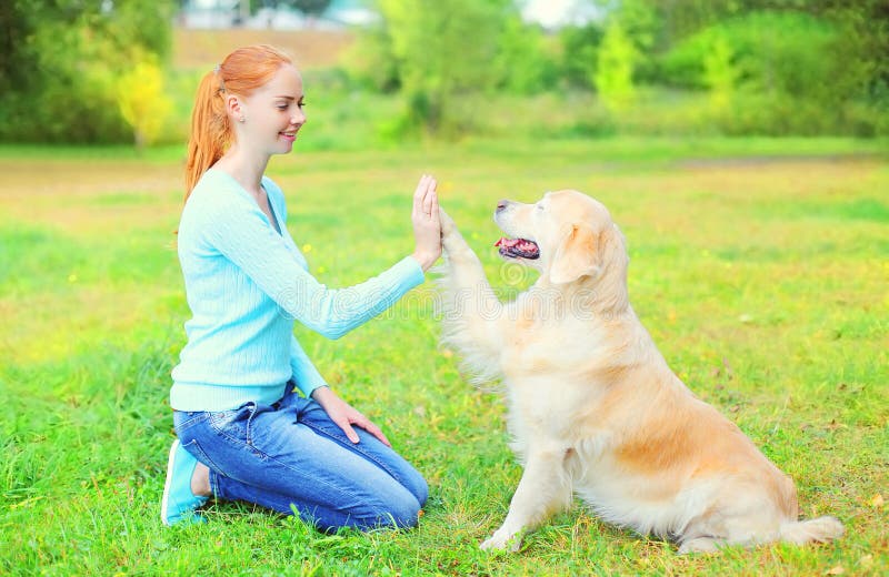 Счастливая женщина предпринимателя тренируя собаку золотого Retriever на траве стоковые фото Счастливая женщина предпринимателя тренируя собаку золотого Retriever на траве стоковые фото