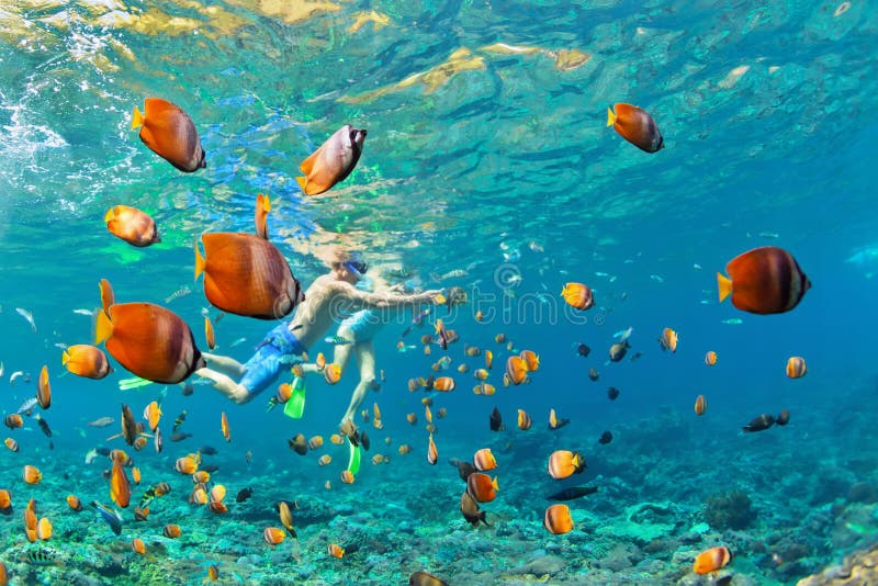 Счастливые пары snorkeling под водой над коралловым рифом стоковое фото rf Счастливые пары snorkeling под водой над коралловым рифом стоковое фото rf