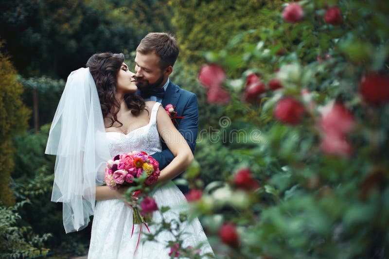 Happy groom hugging beautiful bride with bouquet from behind near flower bush. Happy groom hugging beautiful bride with bouquet from behind near flower bush