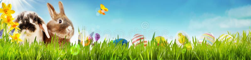 Happy Easter spring banner with two cute little bunnies, yellow daffodils and a butterfly in a spring meadow with green grass and a row of colorful Easter eggs for kids on a blue sky and copy space. Happy Easter spring banner with two cute little bunnies, yellow daffodils and a butterfly in a spring meadow with green grass and a row of colorful Easter eggs for kids on a blue sky and copy space