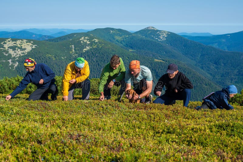 Счастливые hikers, компания друзей с малой смешной собакой собирают bl стоковые фотографии rf Счастливые hikers, компания друзей с малой смешной собакой собирают bl стоковые фотографии rf