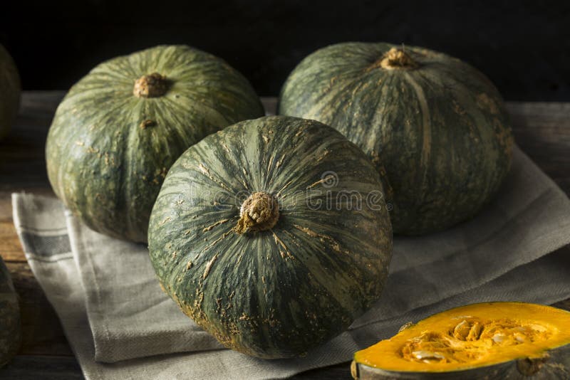 Сырцовый зеленый органический сквош Kabocha стоковая фотография Сырцовый зеленый органический сквош Kabocha стоковая фотография